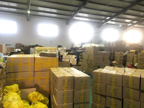 電商賦能，筑夢五原——前11月交易額突破6億元，縣域經濟借“網”騰飛